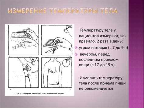 Термометрия. Температура тела в различных участках тела - презентация ...