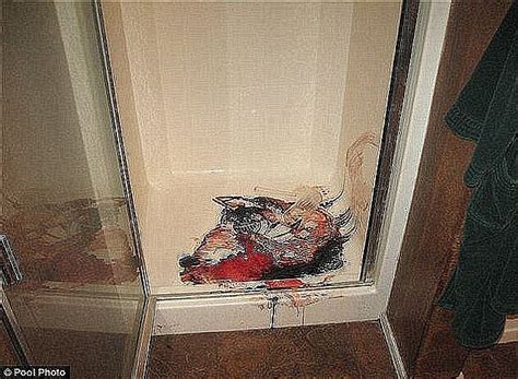 Jodi Arias Autopsy Photos: The Case That Shocked America - ahc82fy