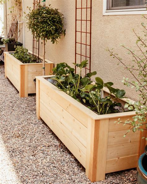 The perfect guide to sustainable gardening – Artofit