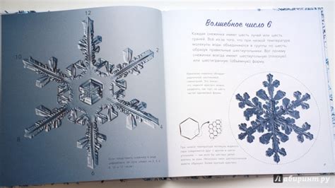 Книга: Снег. Зимнее чудо - Кассино, Нельсон. Купить книгу, читать ...
