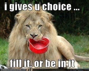 Funny Lion Quotes. QuotesGram