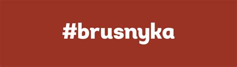 Фирстиль Брусника | Brusnyka brand style on Behance
