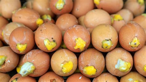 The Untold Truth Of Balut