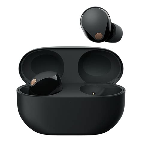 Sony WF-1000XM5 Earbuds: Prices, 1 Colors, Sizes, Features & Specs