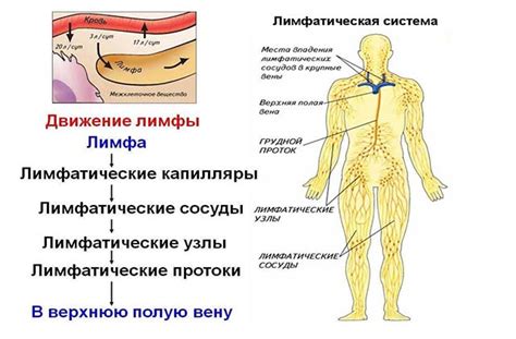 Лимфостаз руки лечение и рожистое воспаление руки при лимфостазе
