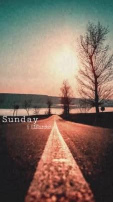 sunday kalogeras | Search Snapchat Creators, Filters and Lenses
