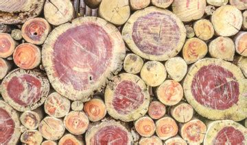 wood basics sanford hawley unionville avon manchesterct west