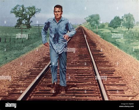 COOL HAND LUKE Stock Photo - Alamy