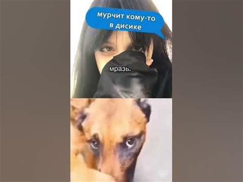 прикольчик - YouTube