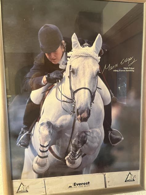 Claire Hart Equine added a new photo. - Claire Hart Equine