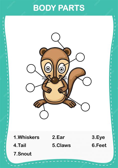 Premium Vector | Illustration of xerus vocabulary part of body,Write