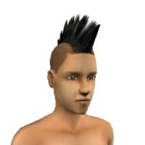 hairstyles     life stages csydes wiki