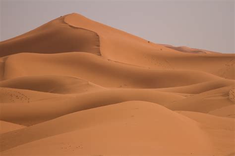 on reaching the sahara