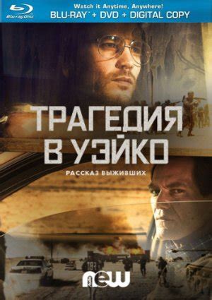Место, где можно бесплатно скачать фильмы