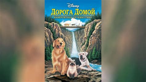 Дорога домой Невероятное путешествие (1993) - YouTube