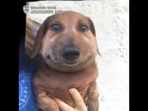 сабака - YouTube