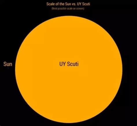 UY Scuti compared to the Sun | Star Facts