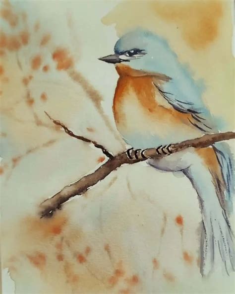 easy watercolor bird drawing ideas   skill level