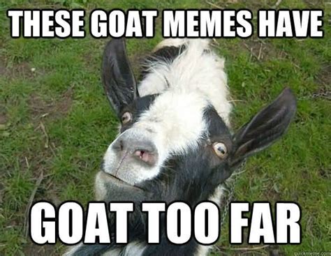15 Top Funny Goat Meme Images and Jokes | QuotesBae