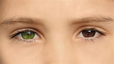 What Is the Rarest Eye Color? | HowStuffWorks