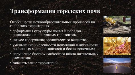 Трансформация и деградация городских почв - презентация онлайн