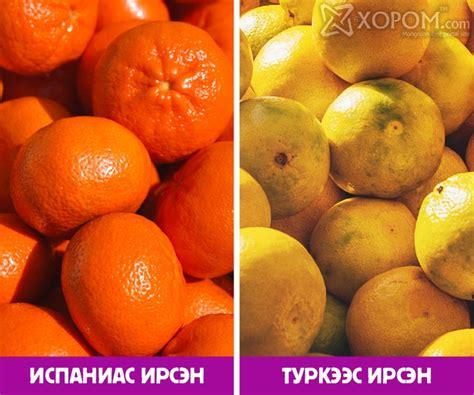 Шинэ жилийн баярт амт нэмэх, амттай сайхан мандарин худалдаж авахад ...