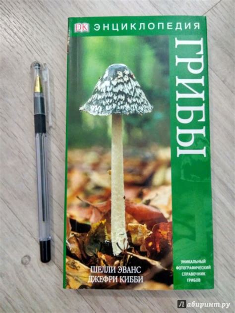 Книга: Грибы - Кибби, Эванс. Купить книгу, читать рецензии | Лабиринт