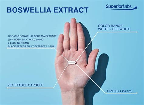 Boswellia Extract Supplement | 500 mg | Superior Labs