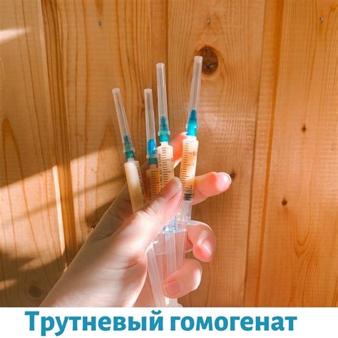 ТРУТНЕВЫЙ ГОМОГЕНАТ