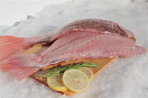 red snapper fillet | Calgorix Lifestyle