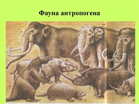 Развитие органического мира - презентация онлайн