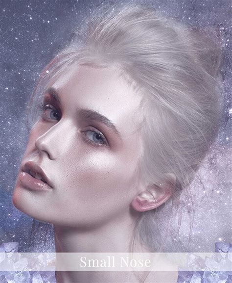 small nose meaning learn chinese face reading auntyflocom