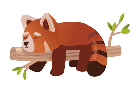 Red Panda Cartoon