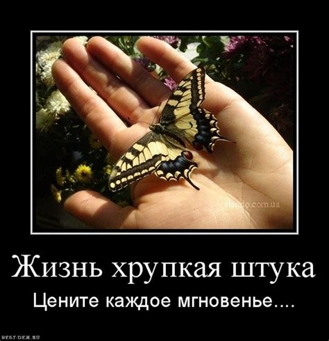 Цените жизнь (Эвелина Коэнен) / Стихи.ру