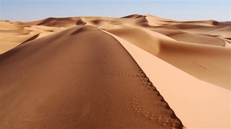 ⇜Пустыня \ Desert⇜ - Красивые картинки, обои и фотографии в высоком ...