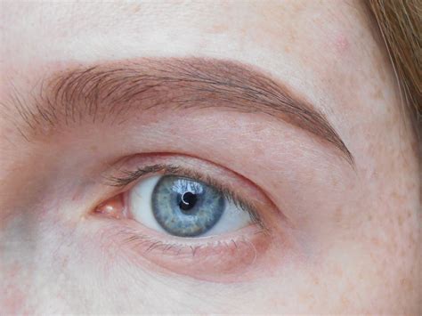 Beauty addicted: NYX: консилер Gotcha Covered Concealer Pencil (GCCP04 ...