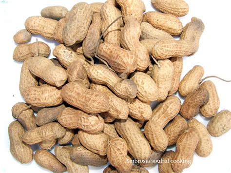 PEANUTS | Ambrosia