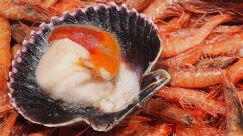 mejor marisco  domicilio de pedrola pescados fernandez