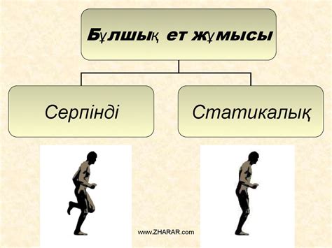 Бұлшық ет - презентация онлайн