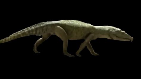 TRILOGY OF LIFE - Walking with Monsters - "proterosuchus" - YouTube
