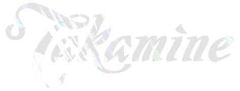 Takamine Guitars Worldwide