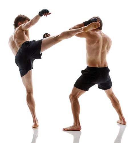 Best Fighting Front Kick Stock Photos, Pictures & Royalty-Free Images ...