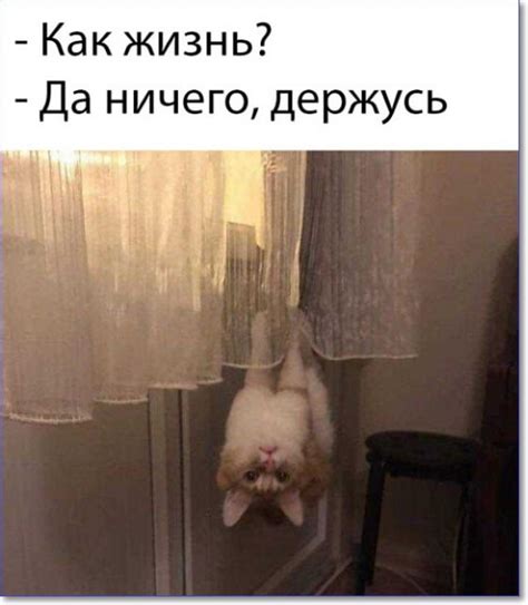 Фото приколы Крейзи ру (99 фотографий и картинок)