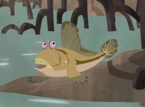 Fish out of Water-Wild Kratts | Wild Kratts Fanon Wiki | Fandom