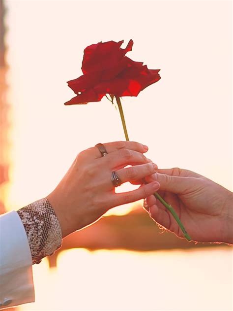 fall  love instaastro