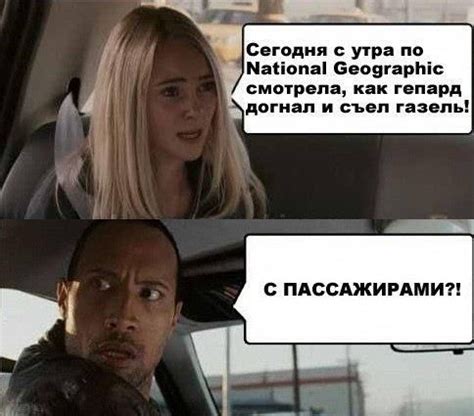 Прикольные картинки (66 фото)