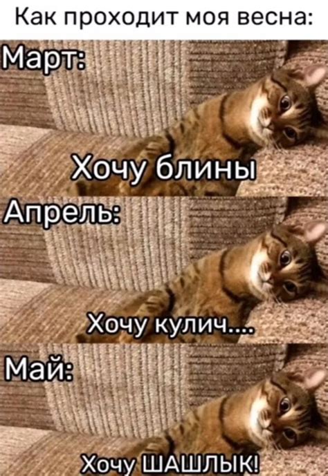 Мемные картинки | Мемные картинки - это сообщество со смешными мемами и ...
