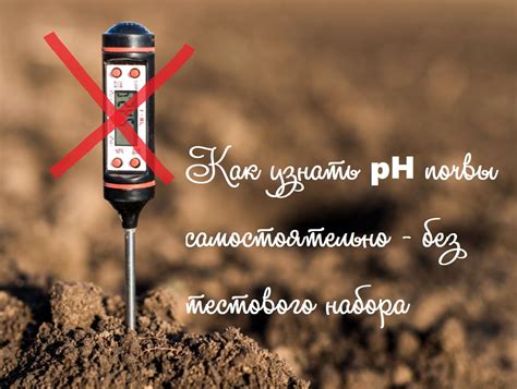 Как определить pH почвы самостоятельно без тестового набора — ВокругСада.ру