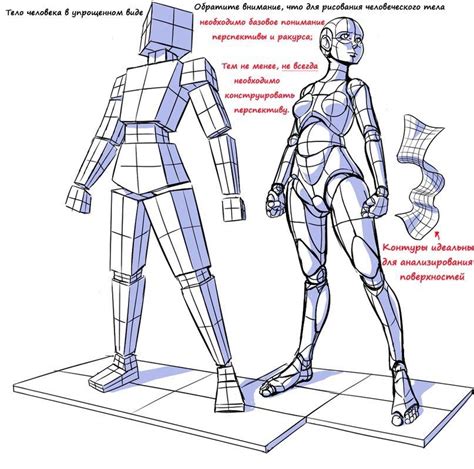 Как правильно рисовать формы и пропорции | Рисовать, Наброски, Рисунки ...