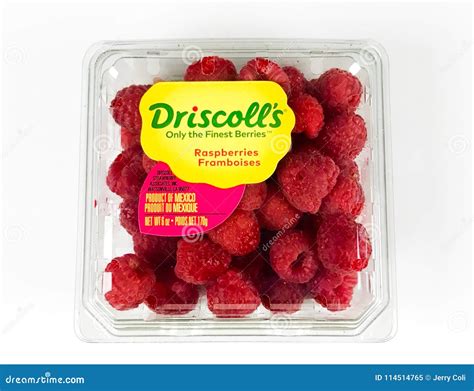 Container of Driscoll`s Raspberries Editorial Image - Image of ...